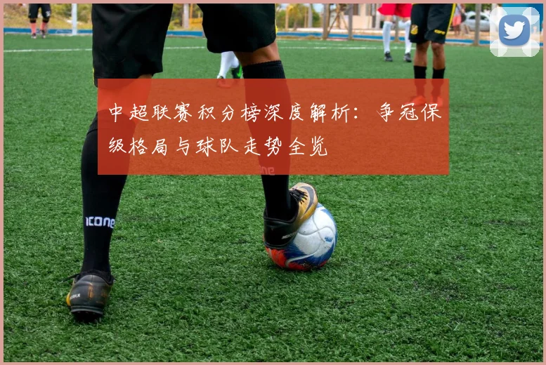中超联赛积分榜深度解析：争冠保级格局与球队走势全览