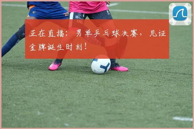 正在直播:男单乒乓球决赛,见证金牌诞生时刻!