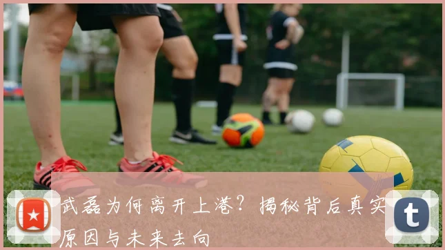 武磊为何离开上港?揭秘背后真实原因与未来去向