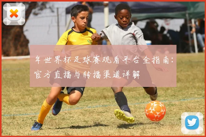 年世界杯足球赛观看平台全指南:官方直播与转播渠道详解